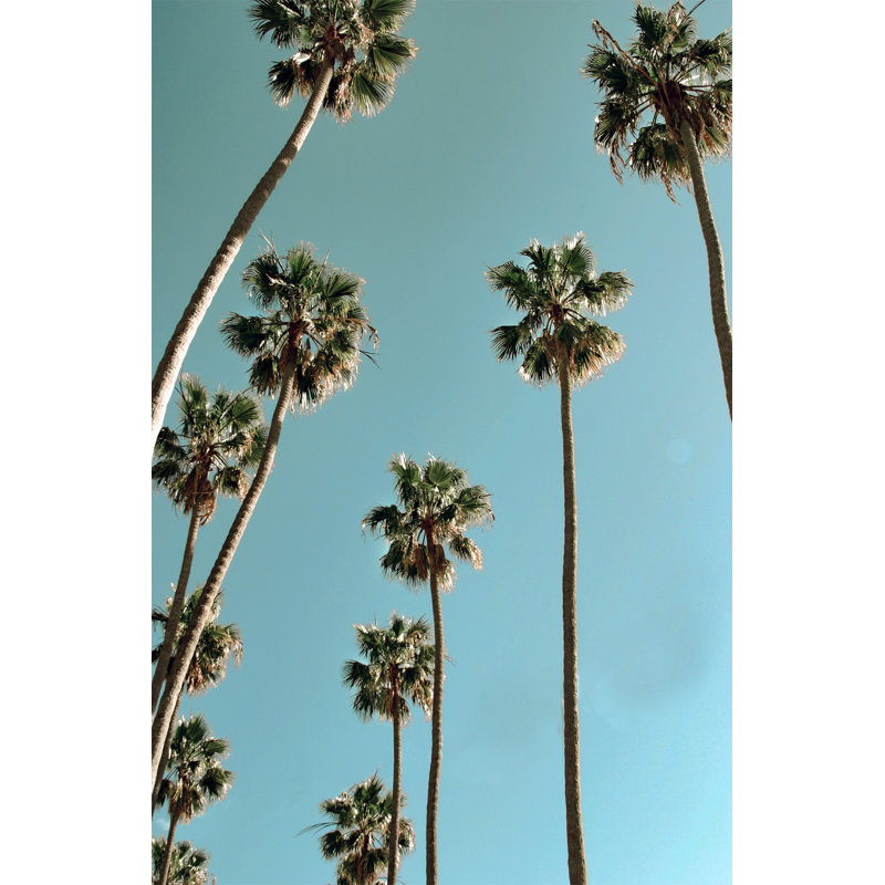 Cali Palms 1 Print by Nathan Turner