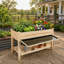 Jardinière surélevée 48 x 23 x 31,1 pouces avec plateau de collecte d'eau, tablette de rangement et doublure de protection Raised Garden Bed