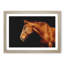 Chestnut Brown Horse - Picture Frame Graphic Art Print-56708824-56708821