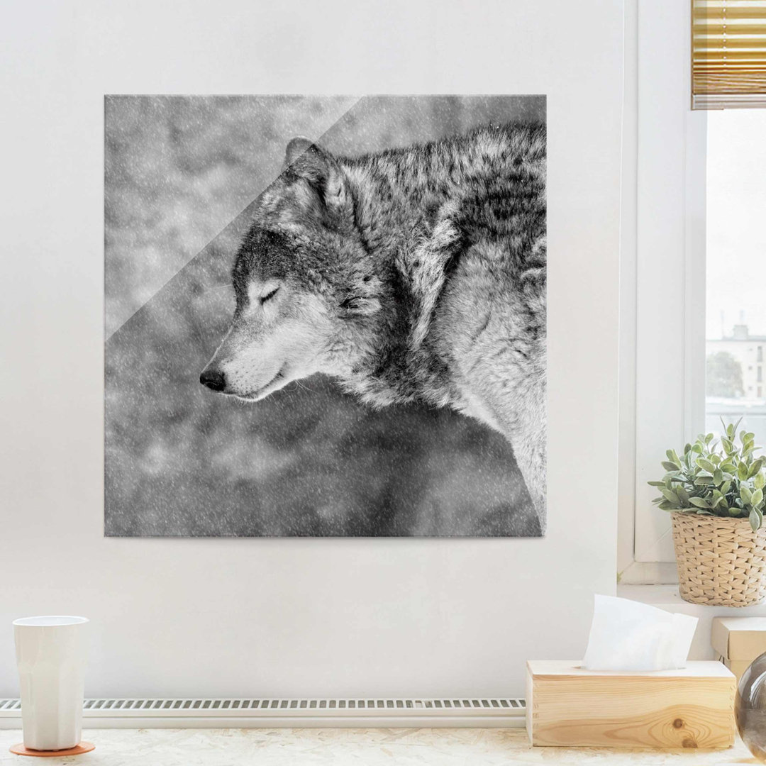 Glasbild Winter Wolf