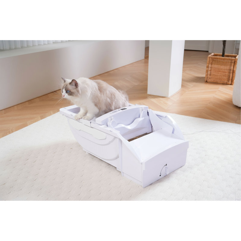 Litière pour chat Smart Smart