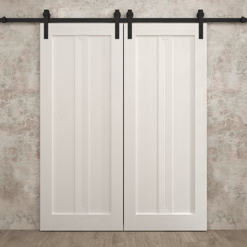 Porte de grange double moderne | Ego 5006 | Ensemble de rails | Portes intérieures solides, Chêne blanc peint, 36 po x 84 po