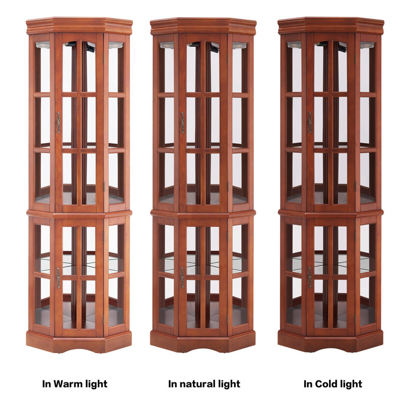Corner Curio Cabinet with 5 Shelves and Lighting System, (E26 light bulb not included), Dark Walnut