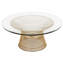 Lydie Glass Coffee Table-562009041