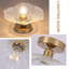 2 Pack Chandelier-603522666
