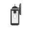 Borg 1-Light Outdoor Wall Sconce - Powder Coated Black-78653755