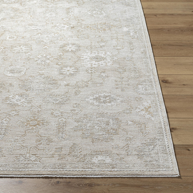 Teeken Oriental Machine Woven Polyester Area Rug in Light Silver/Ash, Rectangle 2'4" x 3'9"