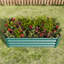 Jardinière rectangulaire surélevée en métal 421Ft pour plantes, fleurs, assemblage facile, légumes rouille, rouille, longue durée-904666383-904666374