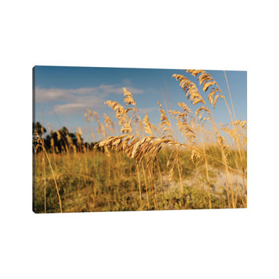 Hilton Head Island 1 Piece Wall Art on Canvas
