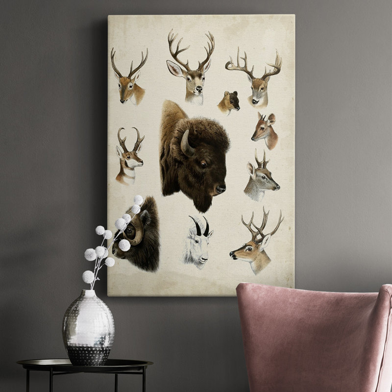 Western Animal Species I - Toile tendue avec châssis de qualité supérieure - prête à être accrochée