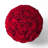 Preserved Roses Arrangement in Open