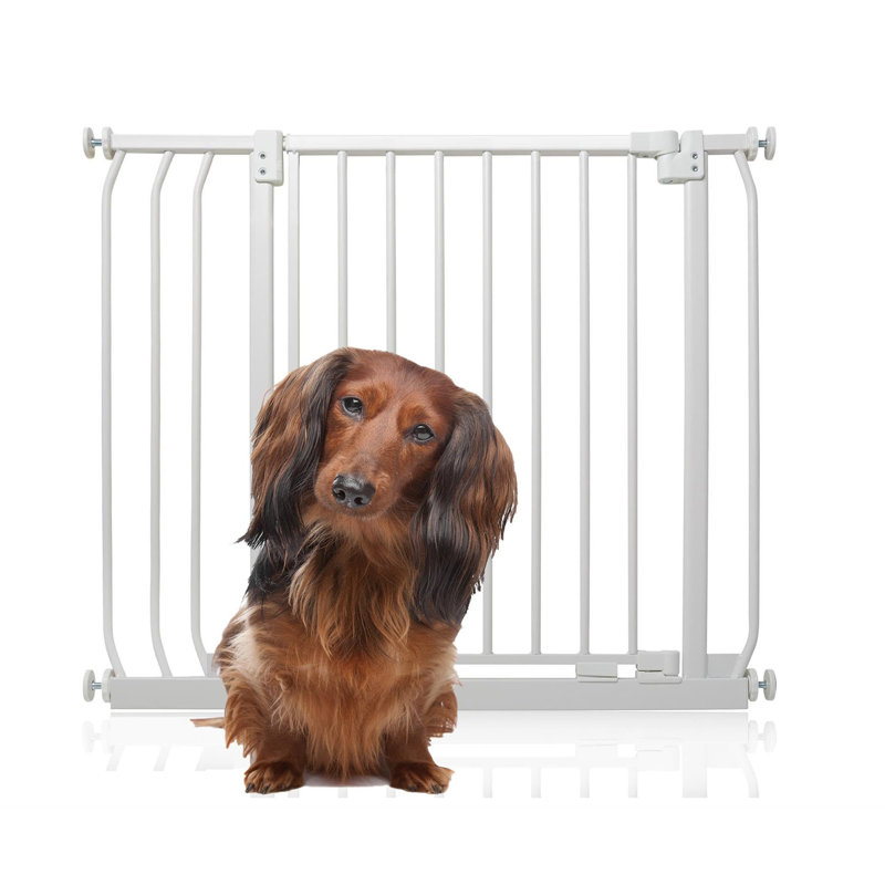 Metal Pressure Mounted Pet Gate, 80cm - 89cm, White
