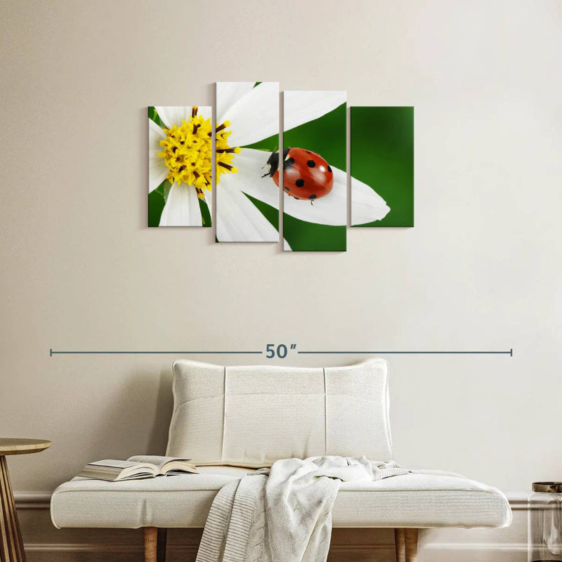 Brampt Ladybug On White Flower, 22" H x 36" W