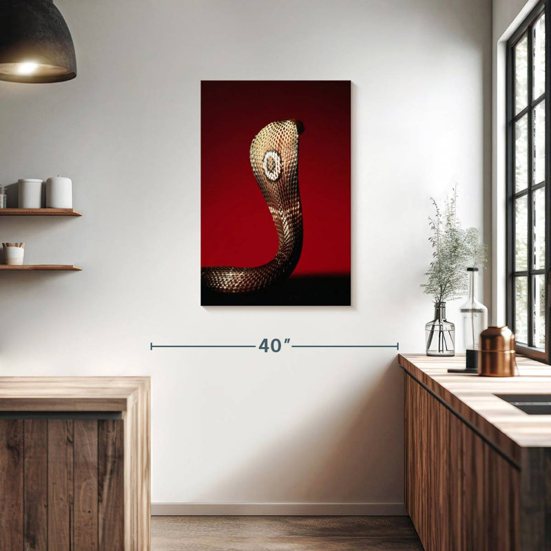 Brampt Cobra, 36" H x 24" W