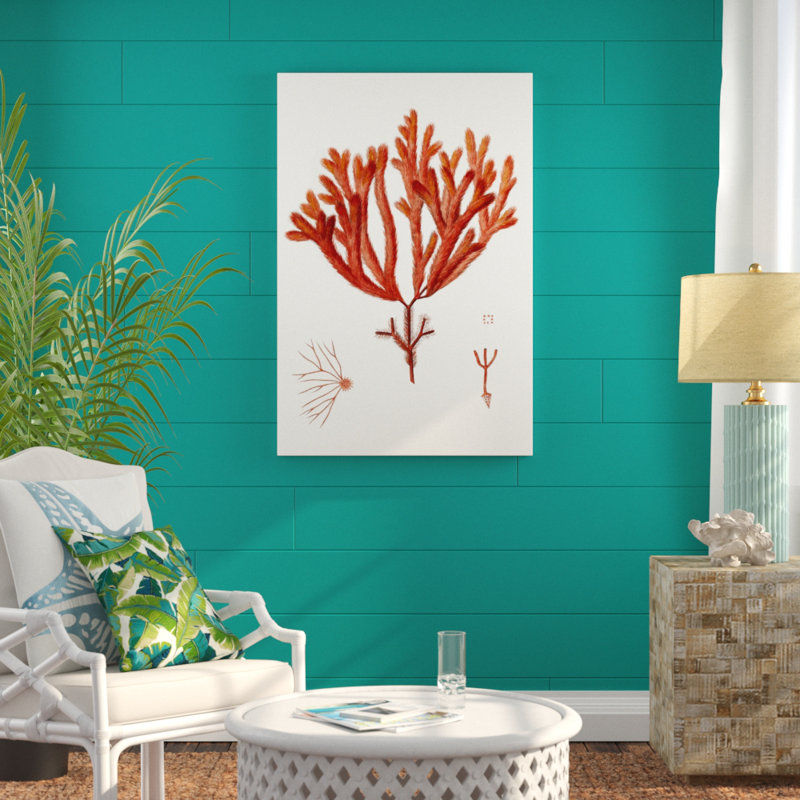 Striking Seaweed II by Vision Studio - Graphic Art Print, 122cm H x 81cm W, Black Floater Frame