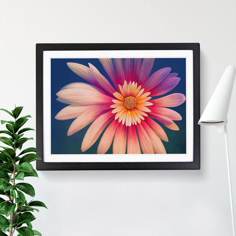 Marvellous Daisy Flower - Single Picture Frame Painting, Black, 46cm H x 64cm W x 2cm D