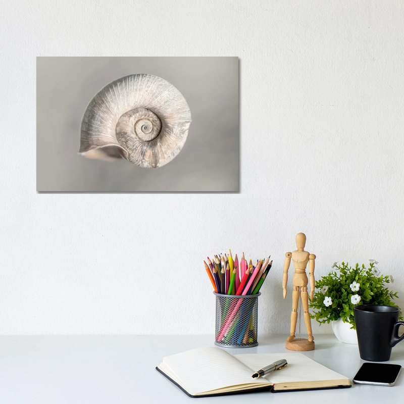 100 Years Of Shell Pearl Edition by Nik Rave - Wrapped Canvas Gallery-Wrapped Canvas Giclée, 20.32cm H x 30.48cm W