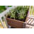 Urbana Elevated Planter-72100129