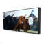 Quatre vaches Highland-119950476