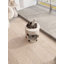 Tour pour chat 26 po Boba Tea Cup