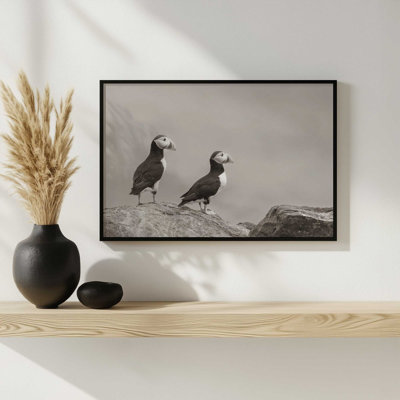 Reproduction d'art «Atlantic Puffin pair sépia» par Nathan Larson