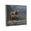 «Stupell Industries Bear Family», art de la giclée par Clinton Jammer-91340552-91340558