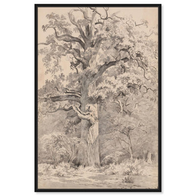 Giant Oak at Forest Canvas Vintage Landscape Art by Art Remedy