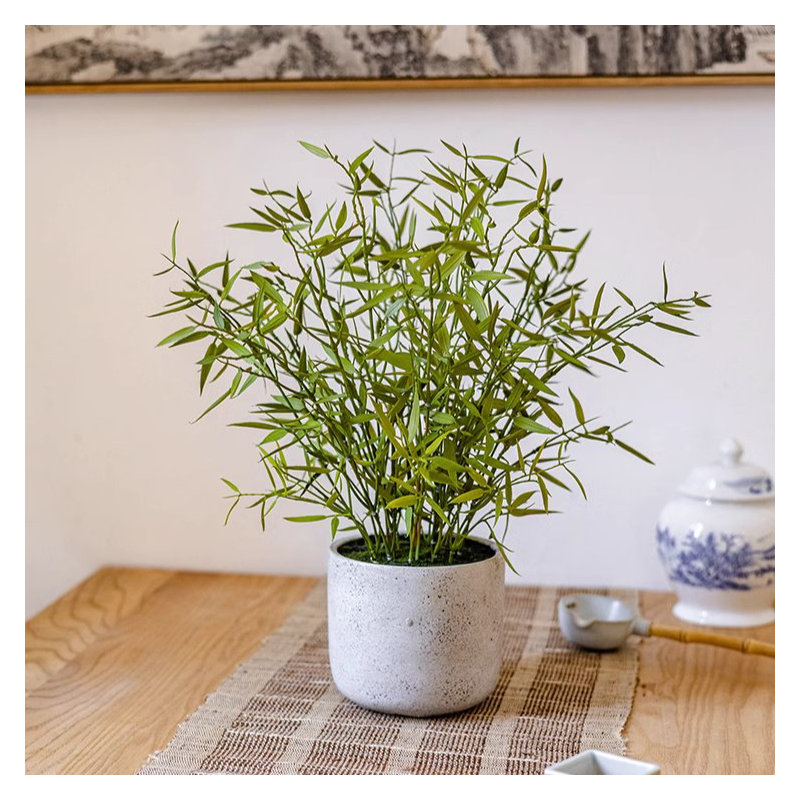 Plante de 16 po, H 16 po x l 9,8 po x P 9,8 po