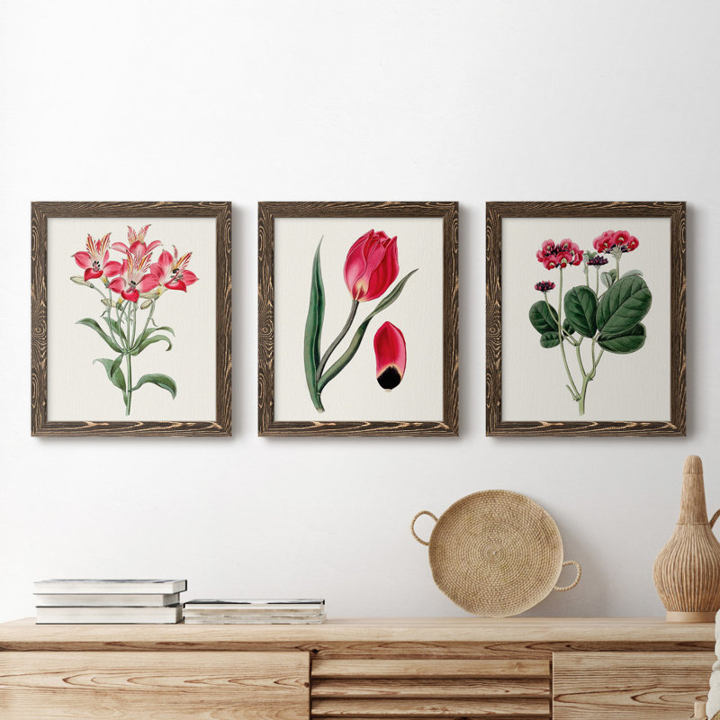Roseat Blooms I - ensemble de 3 peintures sur toile encadrées, Noyer, H 24 po x l 36 po x P 1,5 po
