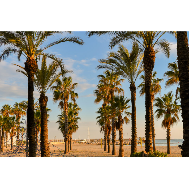 Hauts palmiers front de mer de Salou en Espagne par Thomas Faull, H 20 po x l 30 po