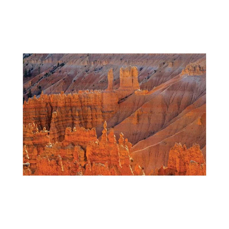 Utah, Bryce Canyon National Park. View of canyon with hoodoos 1 Piece Wrapped Canvas Painting