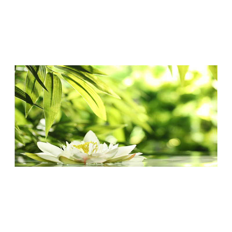 Mencher 50cm W x 100cm L Glass Peel and Stick Panel