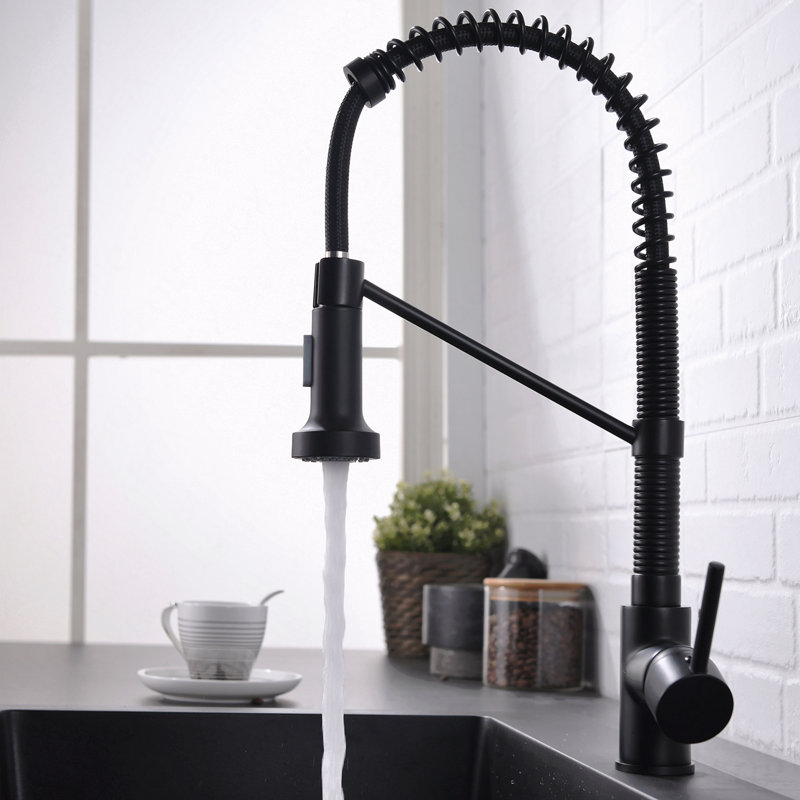 Robinet de cuisine à poignée simple en acier inoxydable avec douchette extractible, Noir