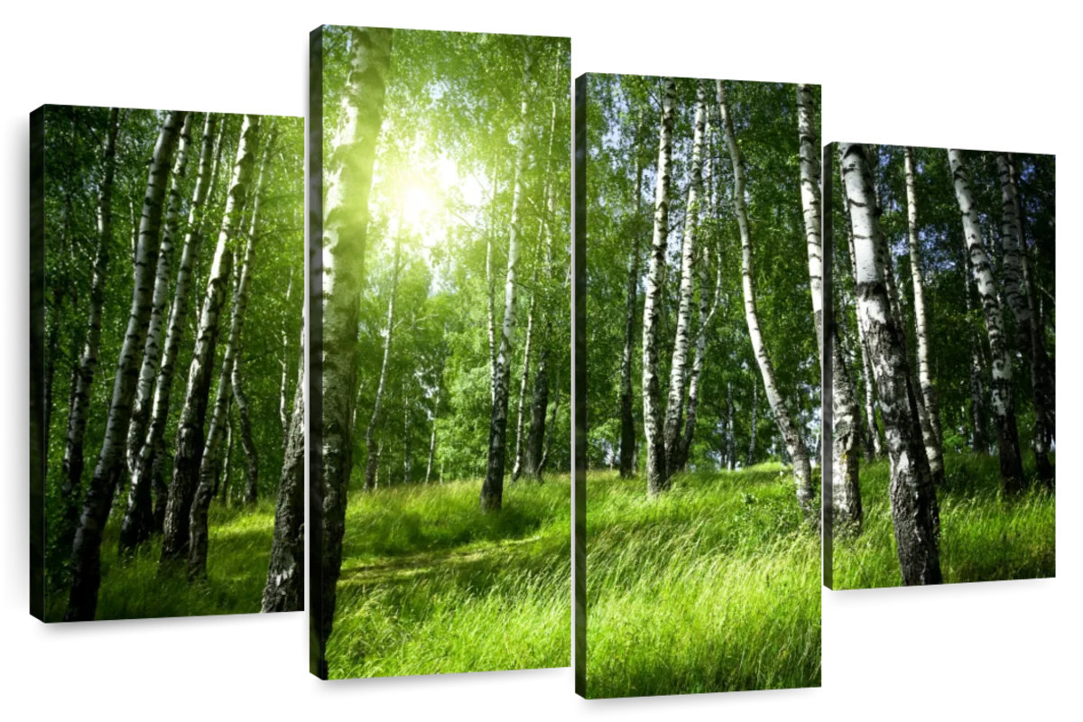 Millwood Pines Alvord Birch Forest Sunrise View - Wayfair Canada