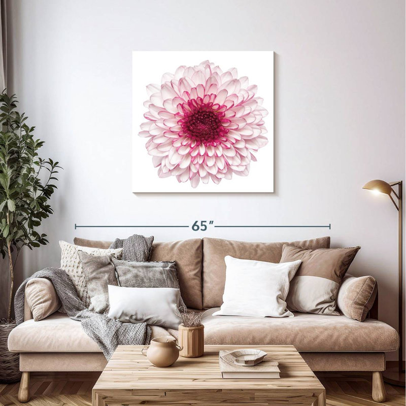 Harnek Pink Chrysanthemum