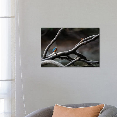 Kingfisher II 1 Piece Wrapped Canvas Wall Art