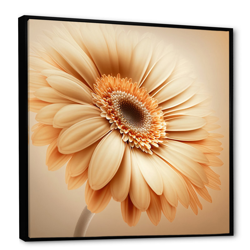 " Orange Gerbera Flower IV ", 16" H x 16" W x 1" D, Black Floater Framed Canvas