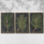 Indigo Leaf Study IV, ensemble de 3 toiles encadrées-97792856-97792855