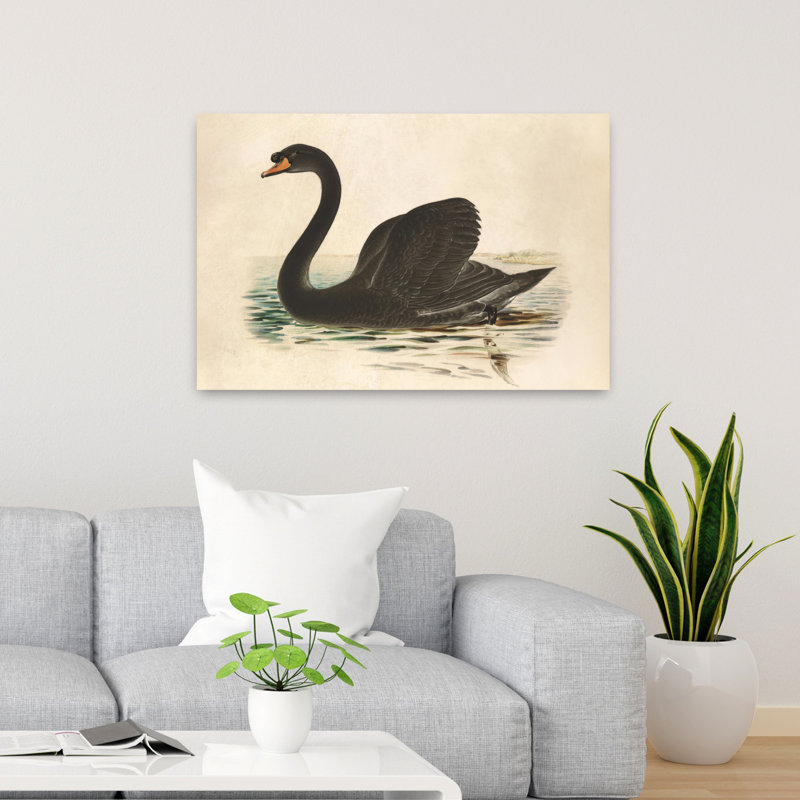 Cygne noir antique, art animalier contemporain, H 36 po x l 24 po