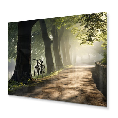 " Bicycle Serene Bicycle Path III "