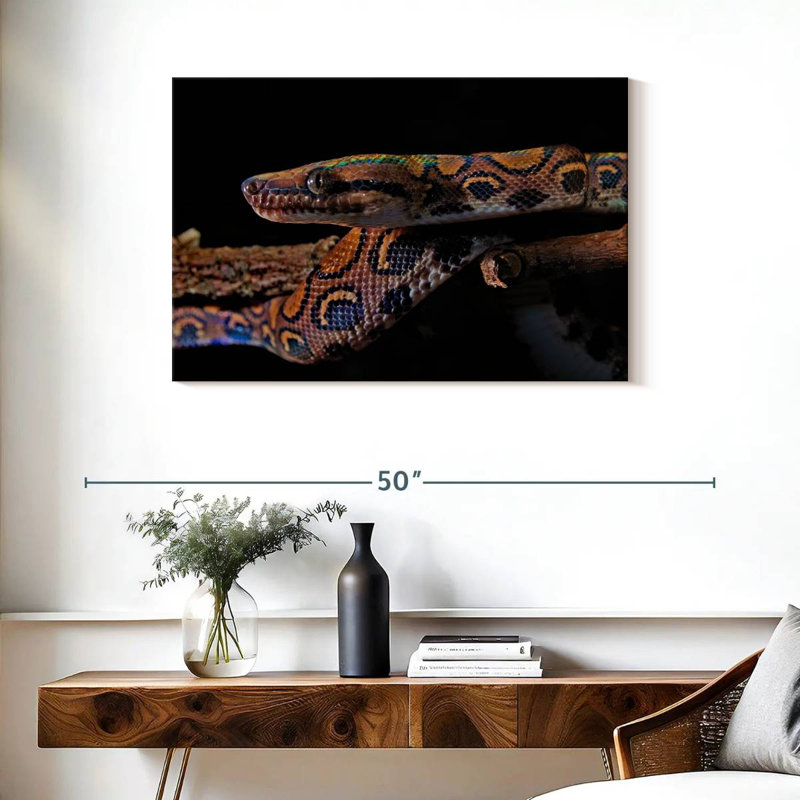 Brampt Rainbow Boa Snake, 24" H x 36" W