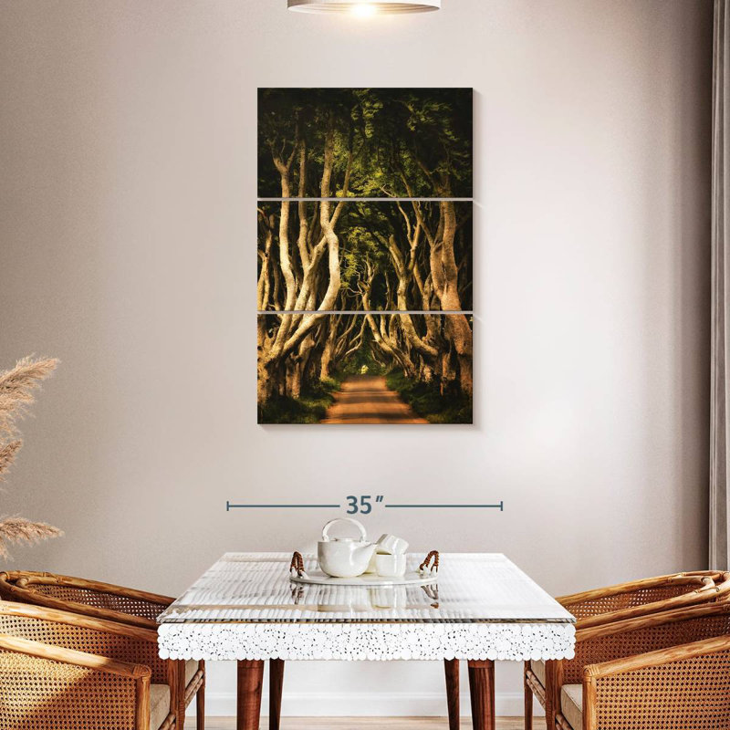 Harnek Ireland's Dark Hedges, H 45 po x l 28 po