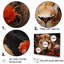 «Lion Wilderness Symphony II», reproduction sur toile-1471984923-1471984994