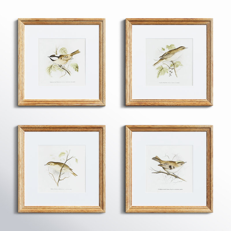 Perching Bird Set