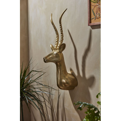  Tête d'antilope Guardian