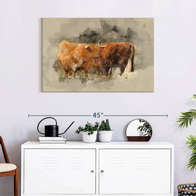 Brampt Highland Cows