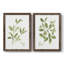 Toile encadrée Herb Sage-Premium - prête à être accrochée-652120135-652120134