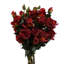 Plastic, Silk Artificial Arrangement-88685033