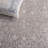 Calidia Oriental Beige/Cream Area Rug-1185413216