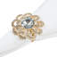 Metal Napkin Ring-1073808638